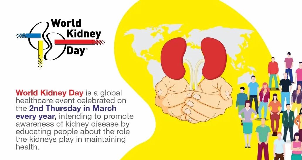 World Kidney Day : second Thursday of March, every year