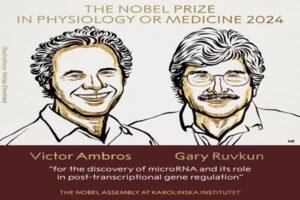 Victor Ambros And Gary Ruvkun Awarded 2024 Nobel Prize In Medicine For ...