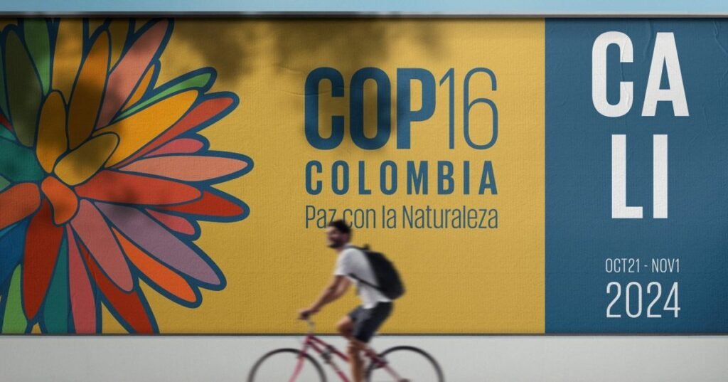 United Nations Biodiversity Conference (COP16) in Colombia from 21 October to 1 November 2024