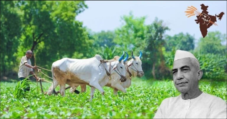 National Farmers Day (Kisan Diwas): 23 December