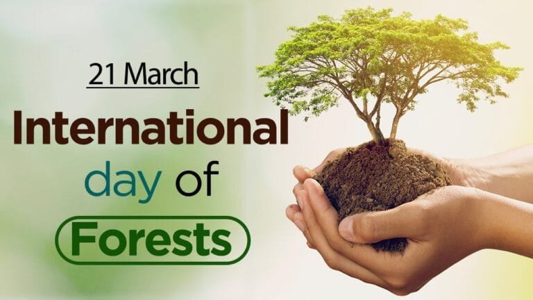 International Day of Forests 2025: Theme – Forests and Food