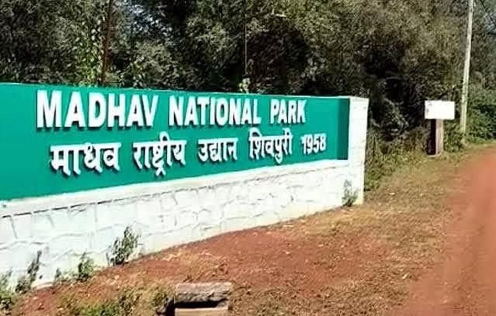 Madhav National Park in Shivpuri, Madhya Pradesh, declared as new tiger reserve