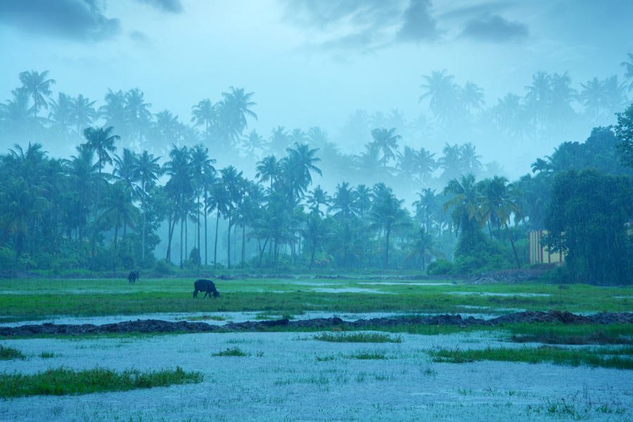 Monsoon Rains to Arrive Early in India – May 27, 2025
