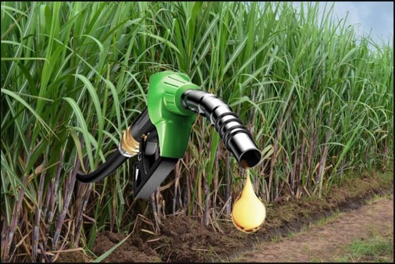 India Achieves 20% Ethanol Blending in Petrol — 5 Years Ahead of Target