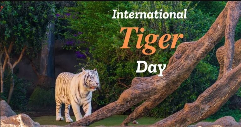 International Tiger Day : 29 July 2025