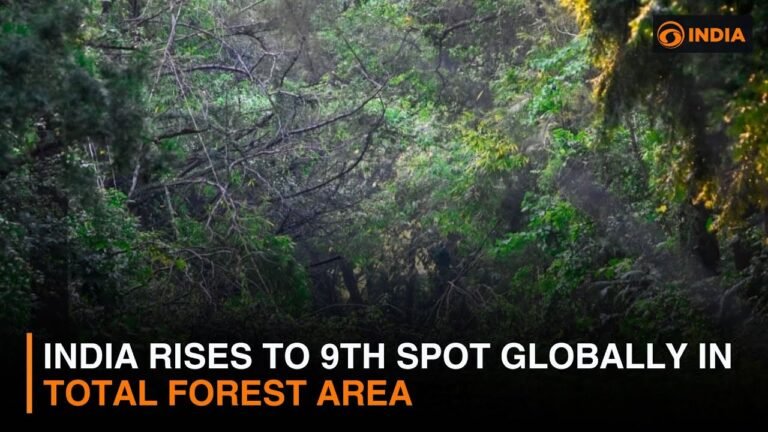 India Rises to 9th Globally in Total Forest Area: FAO’s GFRA 2025 Report