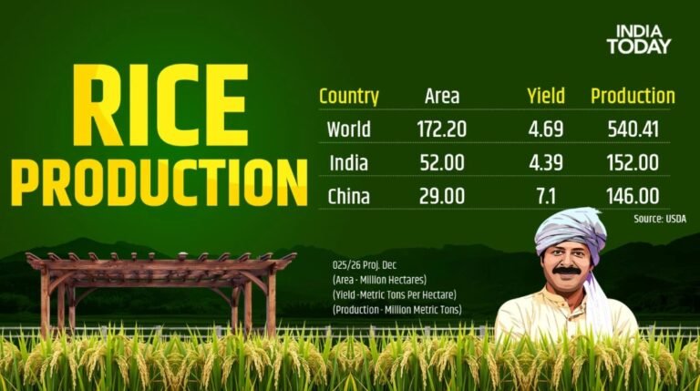 India Becomes World’s Largest Rice Producer
