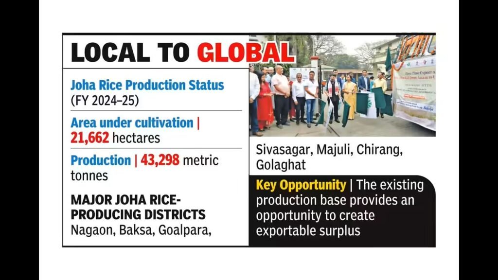 भारत मार्च 2026 में असम से पहला GI-टैग वाला जोहा चावल UK और इटली को निर्यात करेगा।