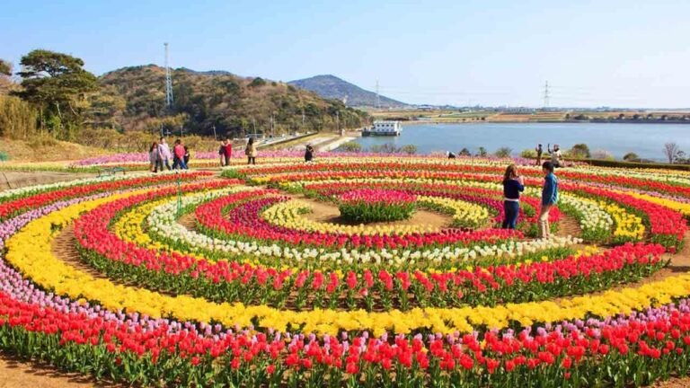 Indira Gandhi Memorial Tulip Garden Srinagar 2026: Asia’s Largest Tulip Garden Opens with 1.8 Million Flowers